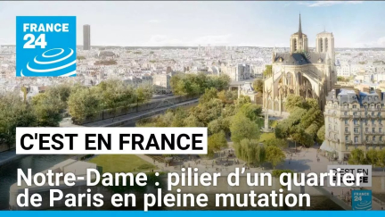 Notre-Dame : pilier d’un quartier de Paris en pleine mutation • FRANCE 24