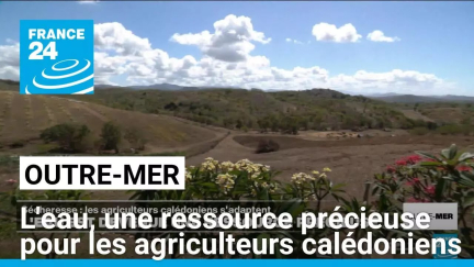 Nouvelle-Calédonie : l'eau, une ressource devenue précieuse pour les agriculteurs • FRANCE 24