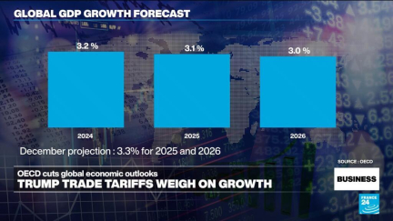 OECD cuts global economic outlooks amid Trump trade tariffs