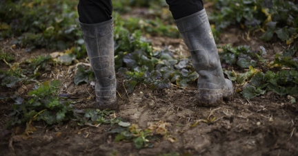 «On a des emprunts, des charges qui augmentent mais pas les prix» : les agriculteurs toujours mécontents, un an après leur mouvement