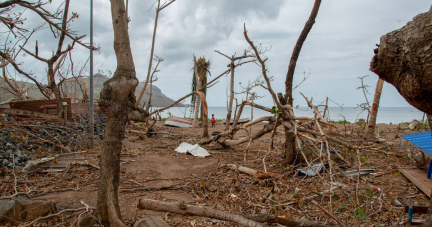 «On n’a quasiment plus d’eau» : dans le nord-ouest de Mayotte, la détresse d’habitants livrés à eux-mêmes