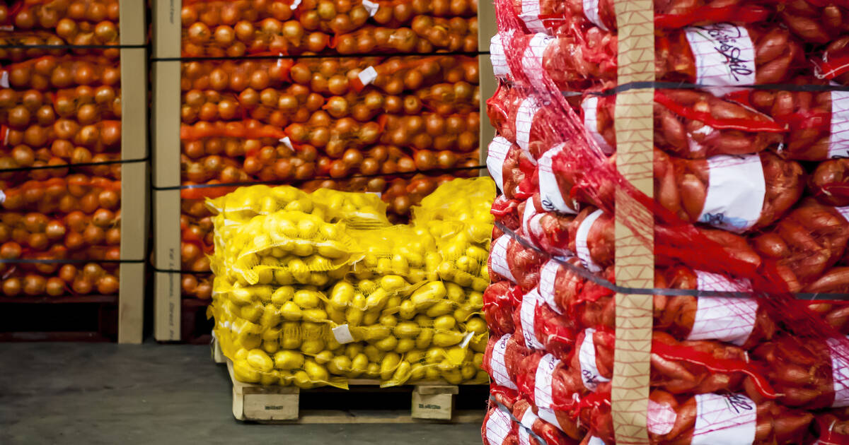 Paris veut augmenter à 100 jours son autonomie alimentaire en cas de catastrophe