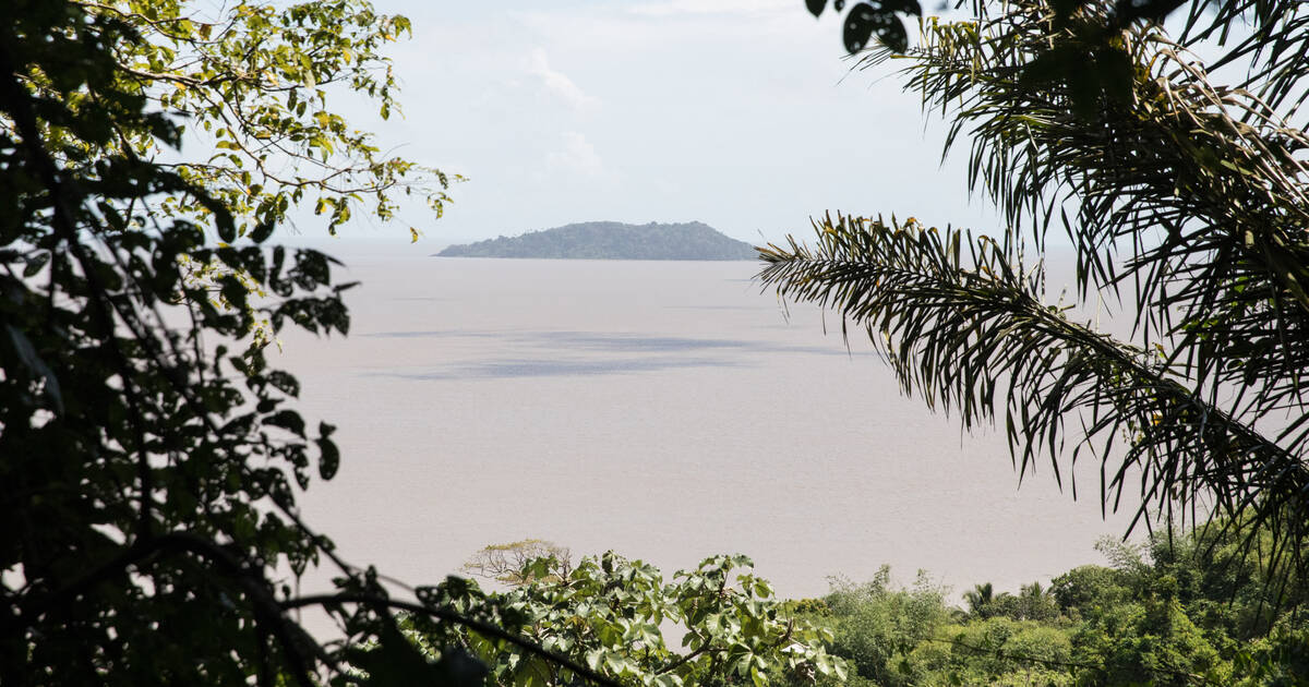 Pétrole en Guyane : en réouvrant le débat sur les forages, Manuel Valls va-t-il devenir le fossoyeur de la loi Hulot ?