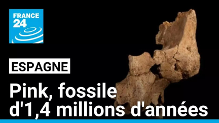 Pink, fossile d'1,4 millions d'années • FRANCE 24