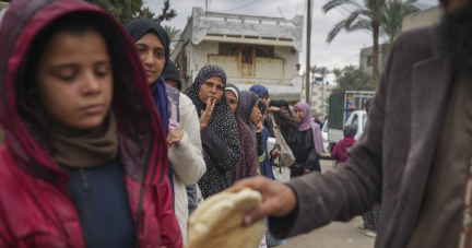 Pour les populations civiles de Gaza et du Liban, la France peut et doit agir, par Bertrand Badie et Lucie Castets