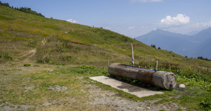 Pourquoi la consommation d’eau risque de doubler d’ici à 2050 en France