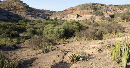 Préhistoire : des outils en os d’animaux taillés par nos ancêtres et vieux de 1,5 million d’années découverts en Tanzanie