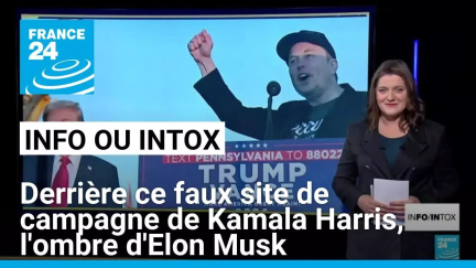 Présidentielle américaine : derrière ce faux site de campagne démocrate, l'ombre d'Elon Musk