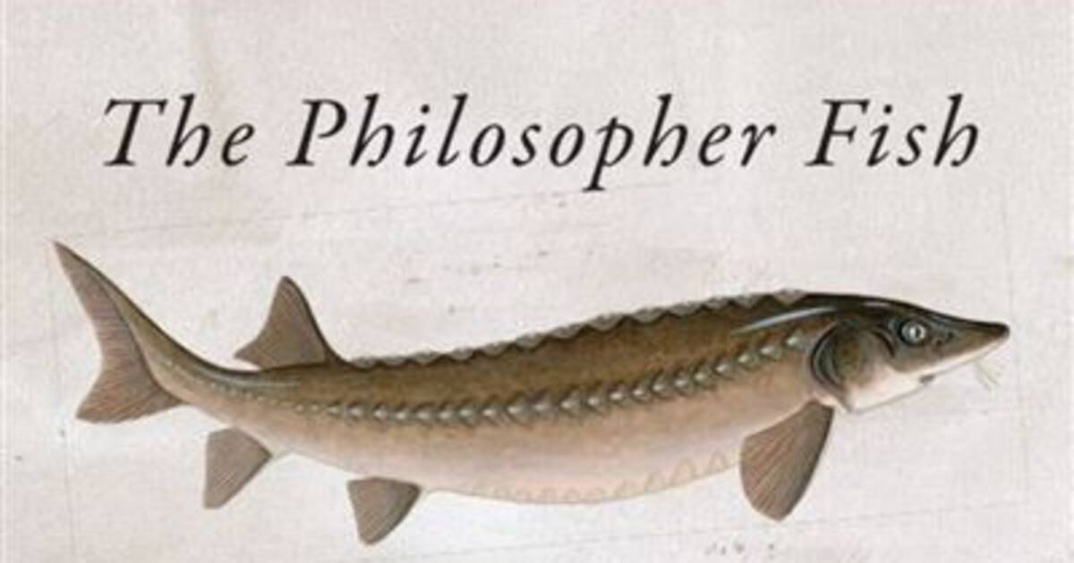 Prix Bookseller : «le Poisson philosophe» élu titre de livre le plus bizarre de l’année au Royaume-Uni