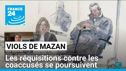 Procès des viols de Mazan : les réquisitions contre les coaccusés se poursuivent • FRANCE 24