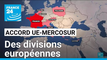 Projet d'accord UE-Mercosur : des divisions européennes • FRANCE 24