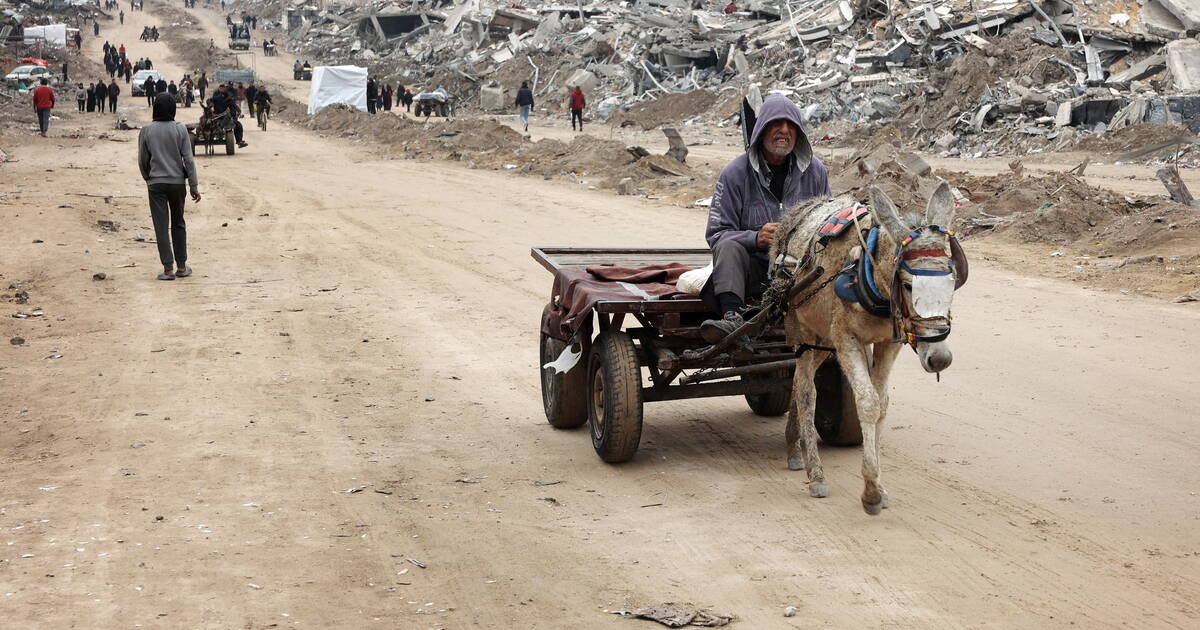 Projet de Trump à Gaza : «Le peuple palestinien et ses forces vives ne permettront à aucun Etat de la planète d’occuper notre terre»