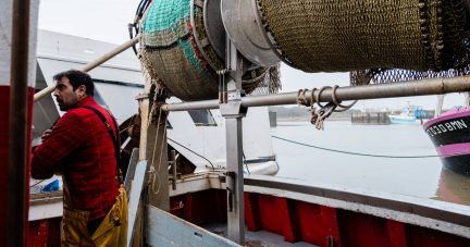 Protection des dauphins dans le golfe de Gascogne : des pêcheurs disent être «pris à la gorge»