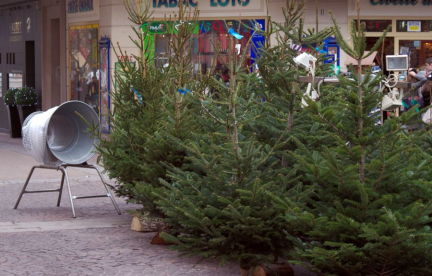 Quel est le prix équitable d'un sapin de Noël ?