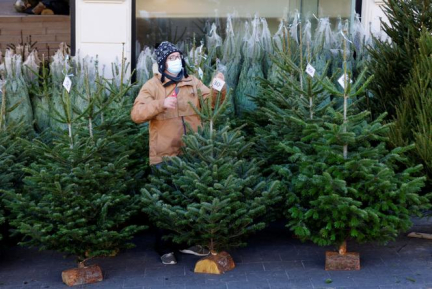 Quel est l’impact carbone de mon sapin de Noël ?