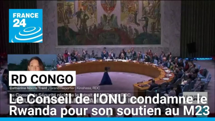 RD Congo : le Conseil de l'ONU condamne le Rwanda pour son soutien au M23 • FRANCE 24