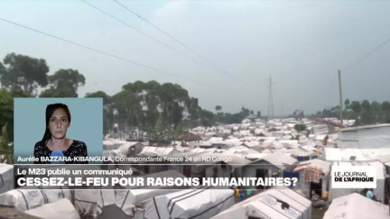 RD Congo : le M23 déclare un cessez-le-feu unilatéral dans l'est • FRANCE 24