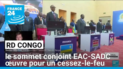 RD Congo : le sommet conjoint EAC-SADC en Tanzanie œuvre pour un cessez-le-feu • FRANCE 24