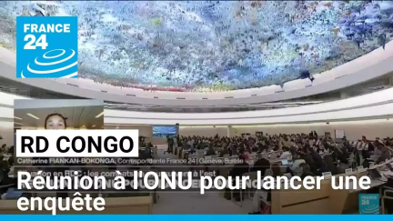 RD Congo : réunion à l'ONU pour lancer une enquête • FRANCE 24