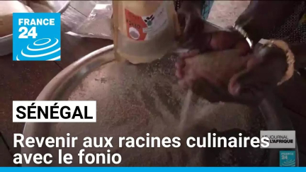 Renouer avec les racines culinaires sénégalaises : l'essor du fonio • FRANCE 24