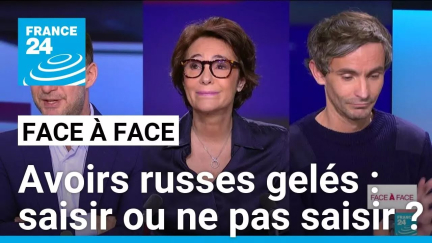 Résolution sur l'Ukraine à l'Assemblée nationale : la saisie des avoirs russes divise