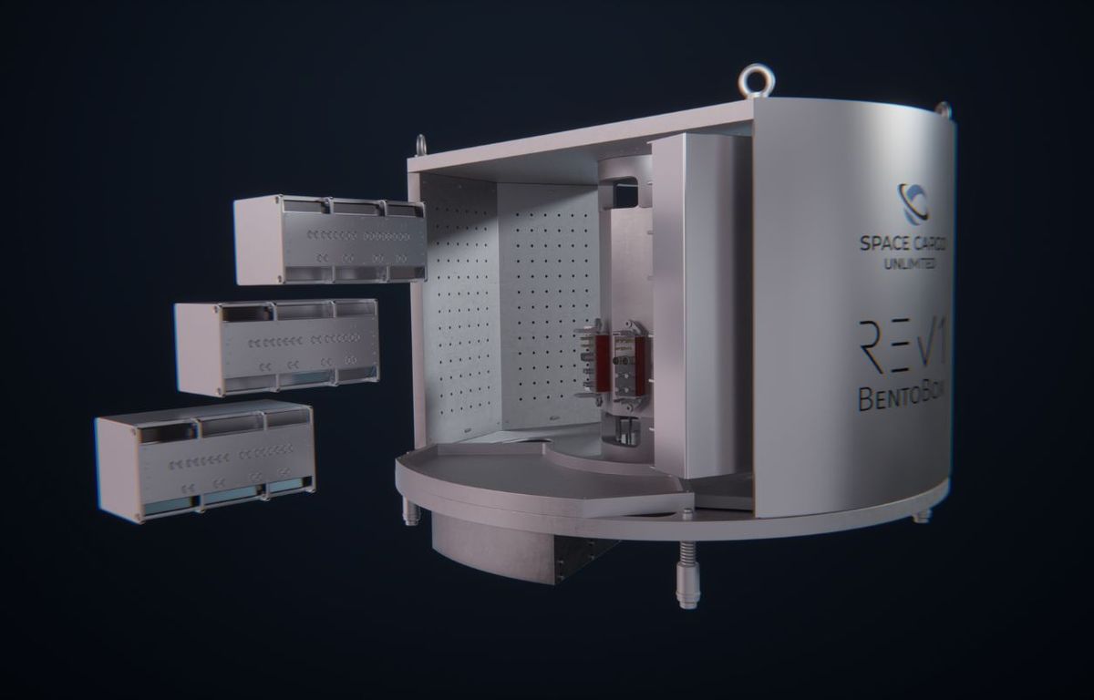 **Rewritten headline:**

Cette start-up bordelaise révolutionne la création de tissus et d'organes dans l'espace

**French translation:**

Cette start-up bordelaise révolutionne la création de tissus et d'organes dans l'espace