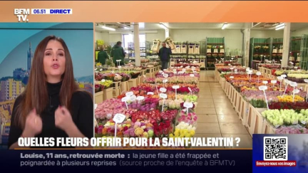 Roses, tulipes...Quelles fleurs offrir pour la Saint-Valentin?