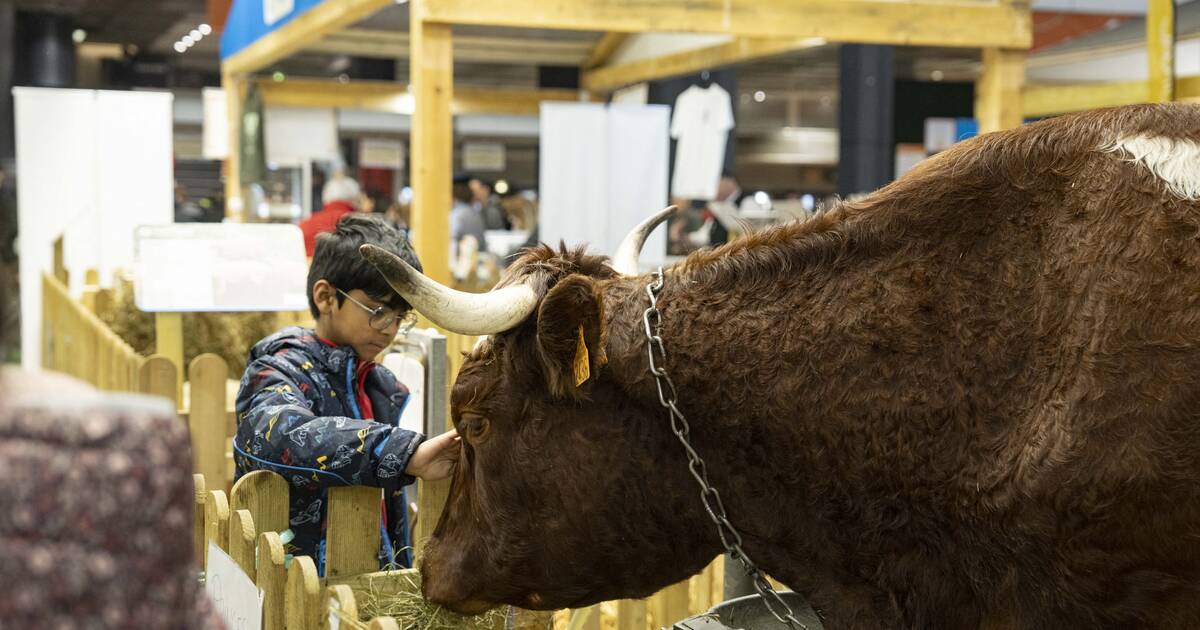 Salon de l’agriculture : les enfants, cœur de cible des lobbyistes de tout poil