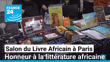 Salon du Livre Africain à Paris : honneur à la littérature africaine • FRANCE 24