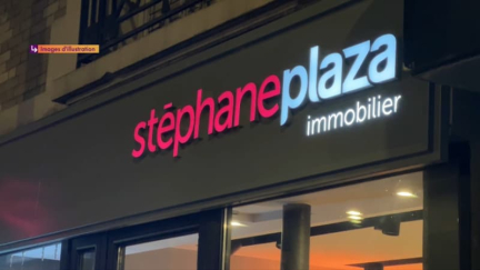 "Se faire insulter au feu rouge": l'affaire Stéphane Plaza pèse sur les agences immobilières franchisées