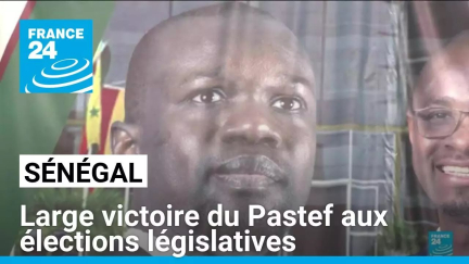 Sénégal : large victoire du Pastef aux élections législatives • FRANCE 24