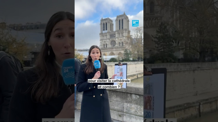 Seriez-vous prêts à payer pour visiter #NotreDame de Paris ?• FRANCE 24