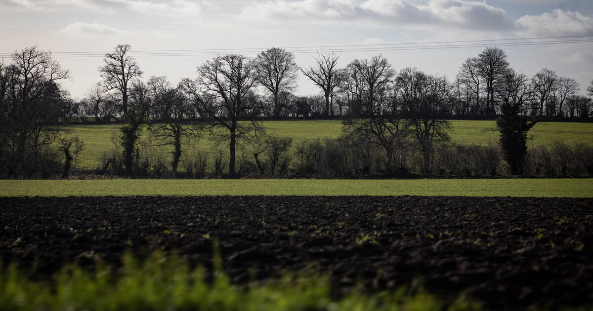 Sols agricoles : l’avenir n’est pas dans l’abandon des normes sanitaires et écologiques