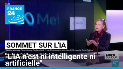 Sommet mondial sur l'IA à Paris : "L'IA n'est ni intelligente ni artificielle" • FRANCE 24