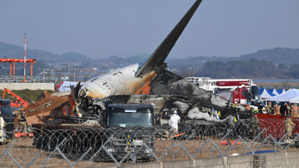 South Korean plane crash report says bird remains found in Jeju jet engines