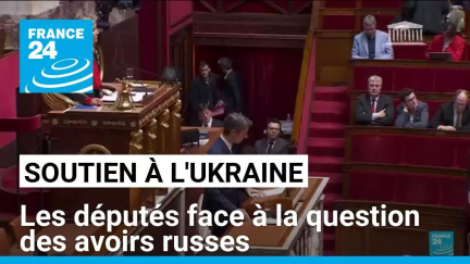 Soutien à l'Ukraine : les députés face à la question des avoirs russes • FRANCE 24