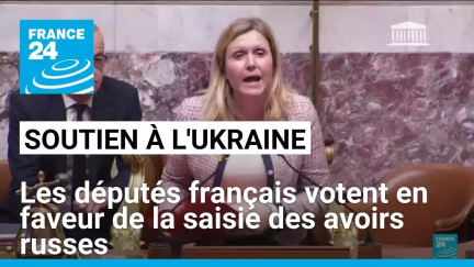 Soutien à l'Ukraine : les députés français votent en faveur de la saisie des avoirs russes