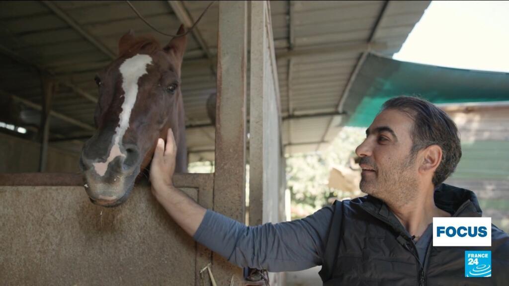 Struggling to cope with horrors of war, Israeli soldiers turn to equine therapy