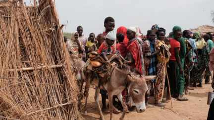 Sudan largest humanitarian crisis ever recorded as 25 million Sudanese face acute hunger