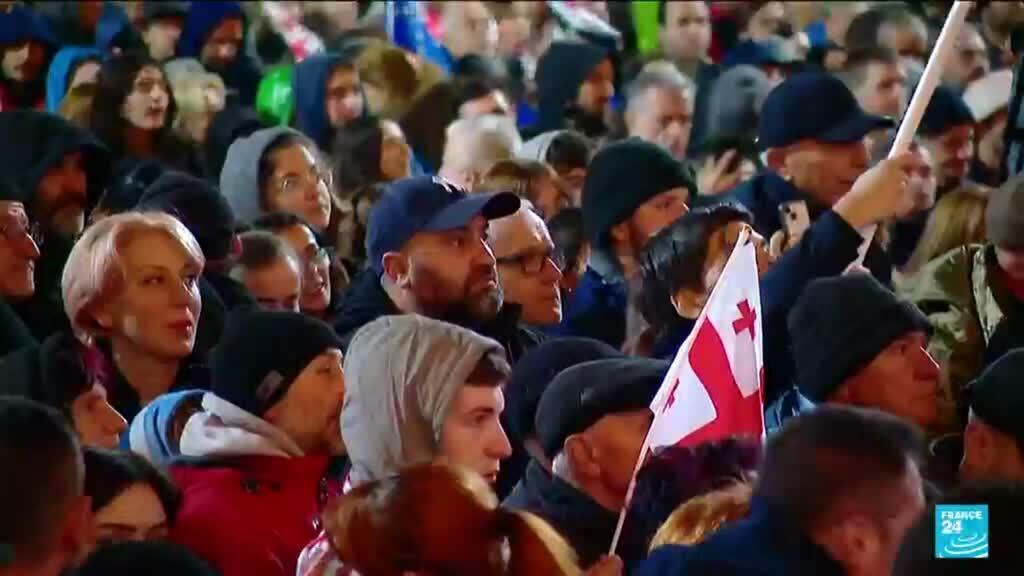 Thousands protest alleged election fraud in Georgia