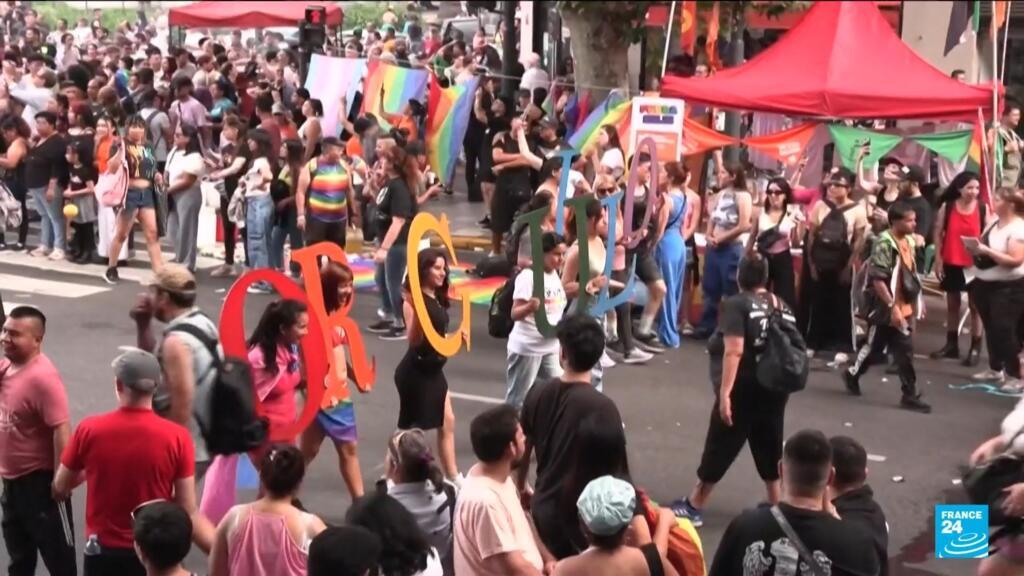 Thousands protest Milei's 'discriminatory' laws at Argentina's LGBTQ march