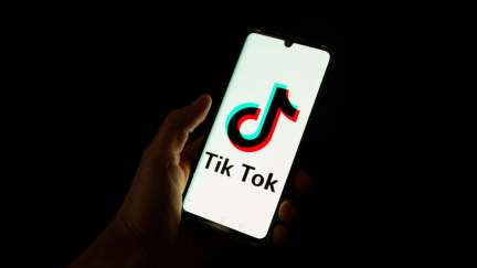 TikTok set to 'go dark' in US on Sunday as Supreme Court ban looms