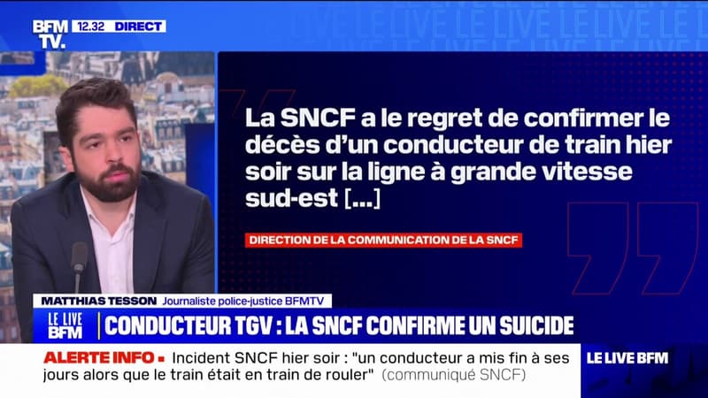 Trains retardés: la SNCF confirme le suicide du conducteur