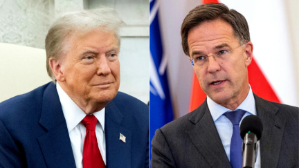 Trump holds first meeting with NATO chief Rutte since election, talks focused on ‘global security’