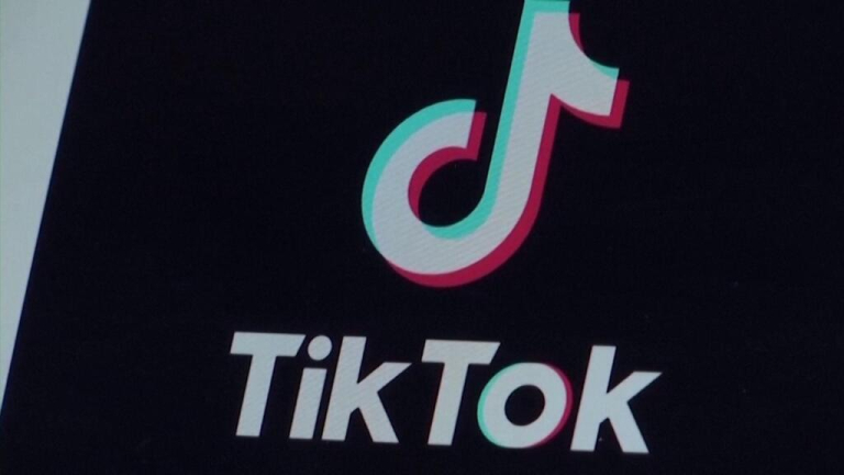 Trump will save TikTok if viable deal is on table, top adviser says