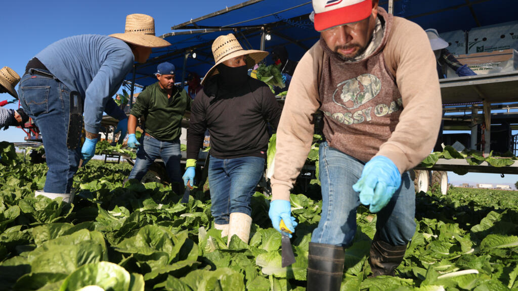 Trump's deportation threats spark fear among farmworkers in California