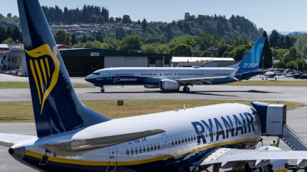 Un Boeing de Ryanair bloqué au sol pendant deux jours à cause d'un chat clandestin