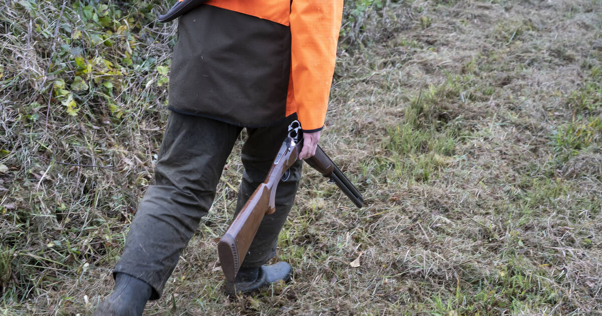 Un chasseur tué par balle dans le Lot lors d’une battue