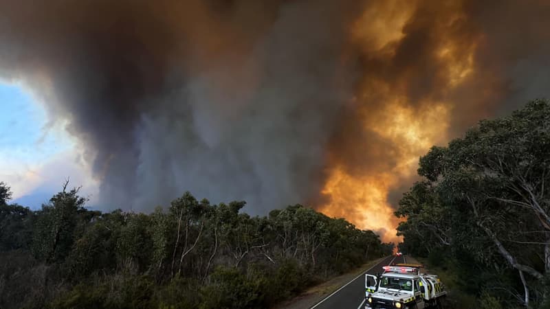 "Un moment critique": les images du gigantesque incendie qui menace le sud-est de l'Australie