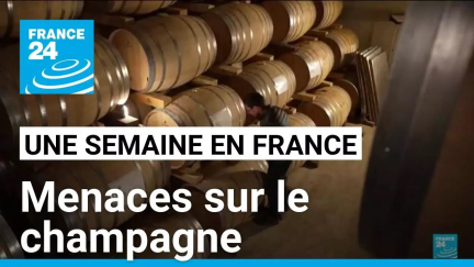 Une Semaine en France : Menaces sur le champagne • FRANCE 24